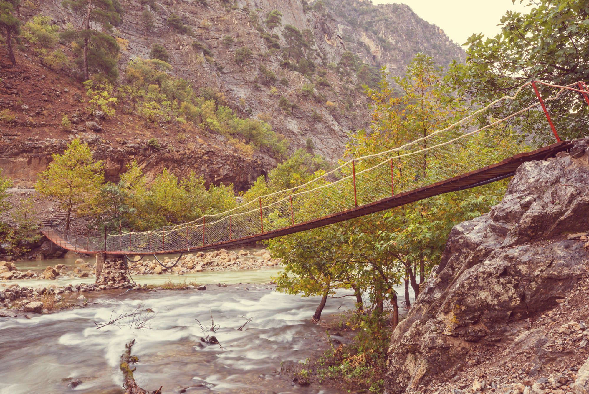 Bridge